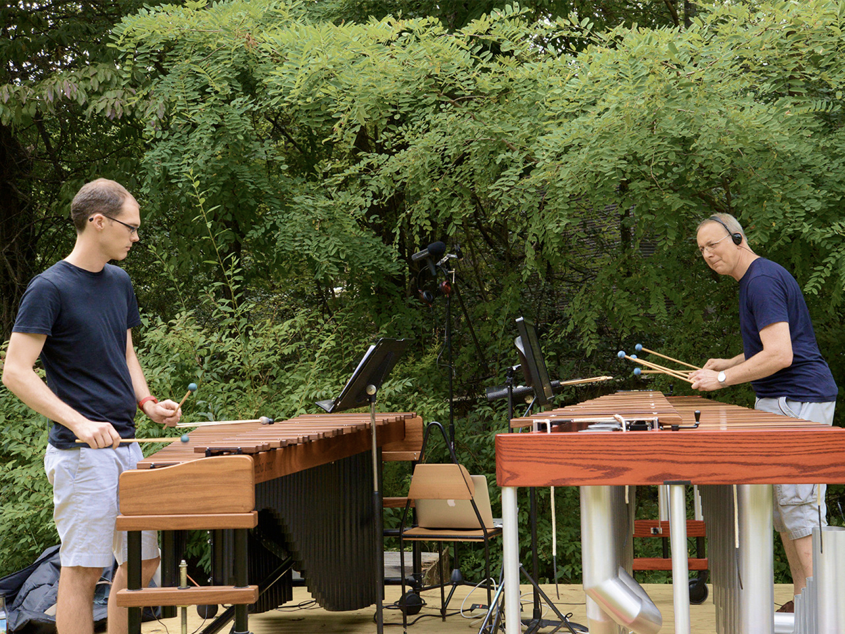 The artist Terry Winters chose the exceptional marimba players Gregory Zuber and Mike Truesdell to perform works by Steve Reich, György Ligeti and Bach outdoors in a synthesis of rhythm, repetition, and structure in music, painting and nature. This extraordinary event of August 30, 2014 still has educational potential.