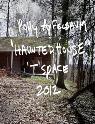 Polly Apfelbaum: Haunted House