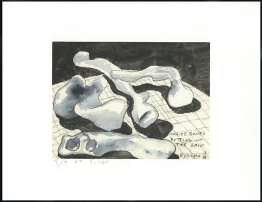 Steven Holl
